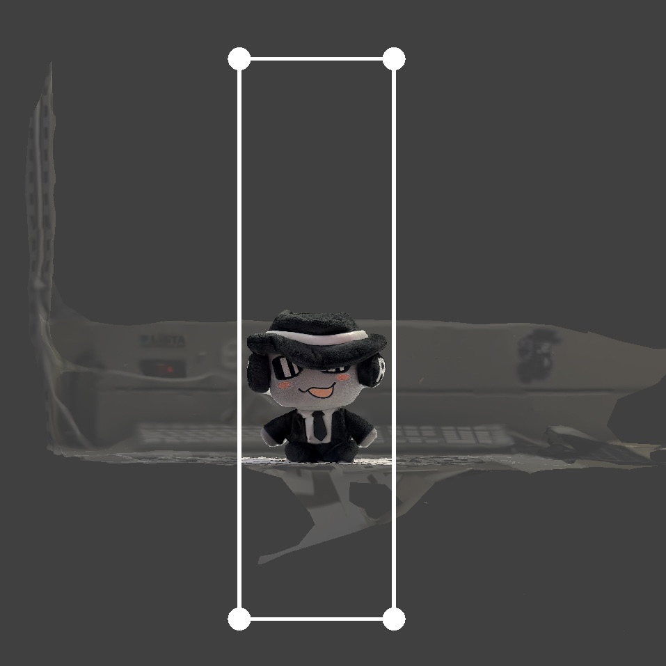 Using Scaniverse's cropping feature (Which was really fun!).